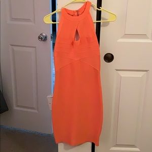 Bebe bodycon dress